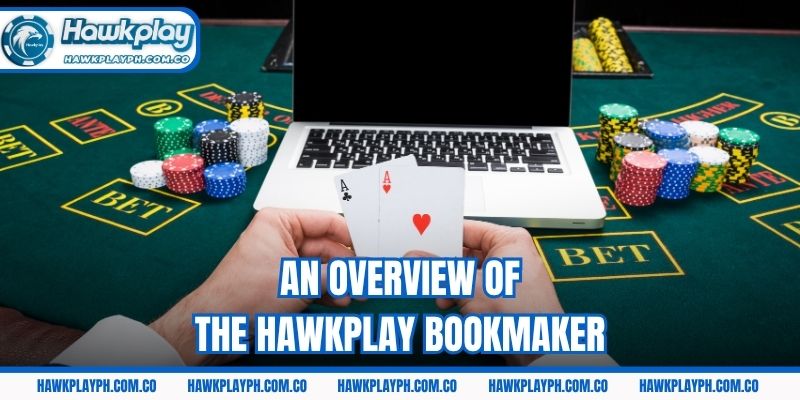 An overview of the Hawkplay bookmaker