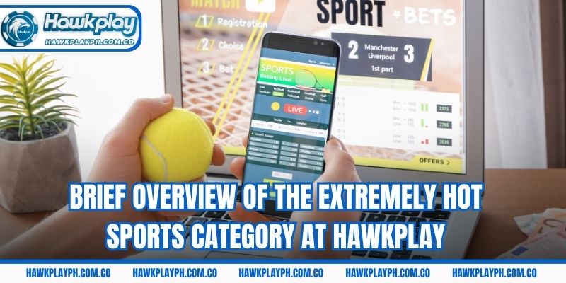 Brief overview of the extremely hot Sports category at Hawkplay