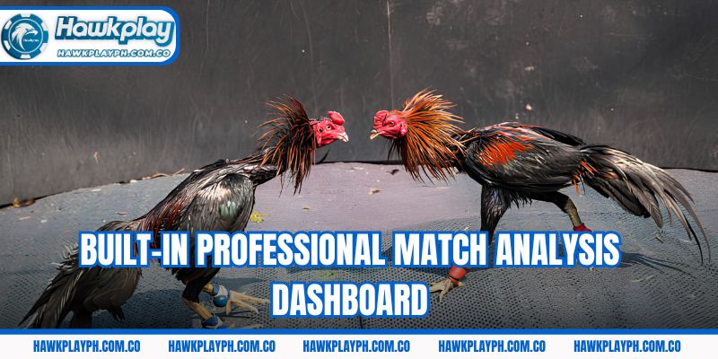 Built-in professional match analysis dashboard
