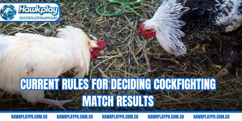 Current rules for deciding cockfighting match results