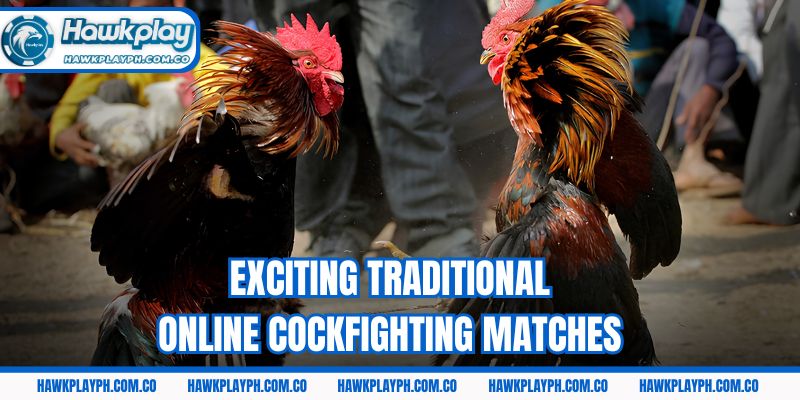 Exciting traditional online cockfighting matches
