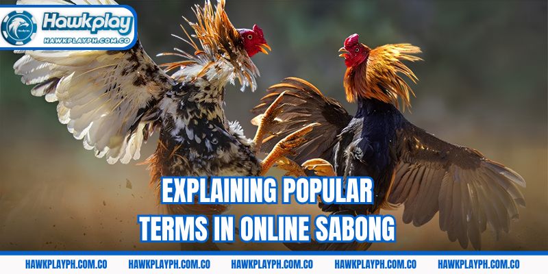 Explaining popular terms in online sabong