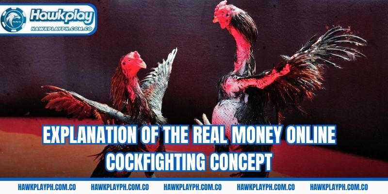 Explanation of the real money online cockfighting concept