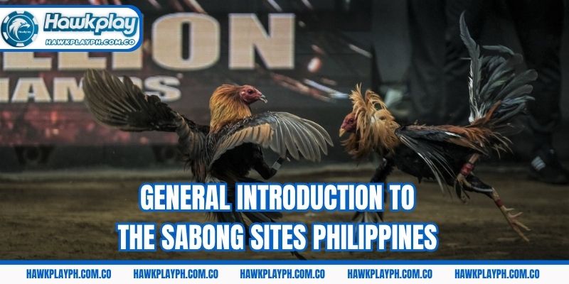 General introduction to the sabong sites Philippines