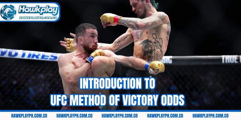 Introduction to UFC Method of Victory odds