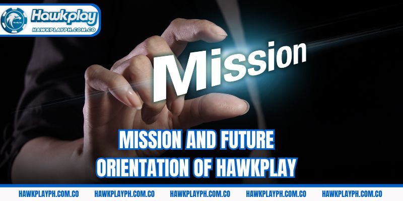Mission and future orientation of Hawkplay