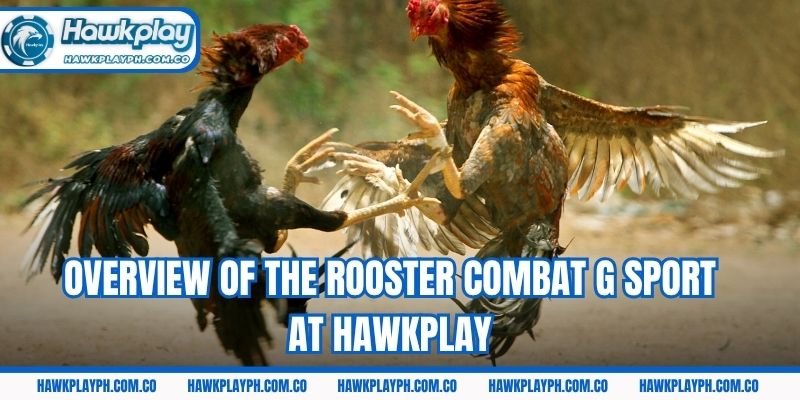 Overview of the Rooster Combat g sport at Hawkplay