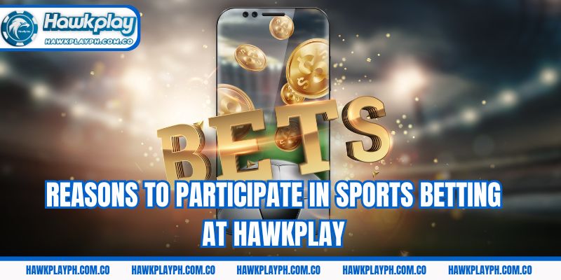 Reasons to participate in sports betting at Hawkplay