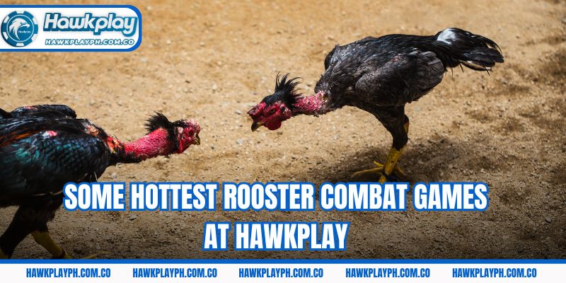 Some hottest rooster combat games at Hawkplay