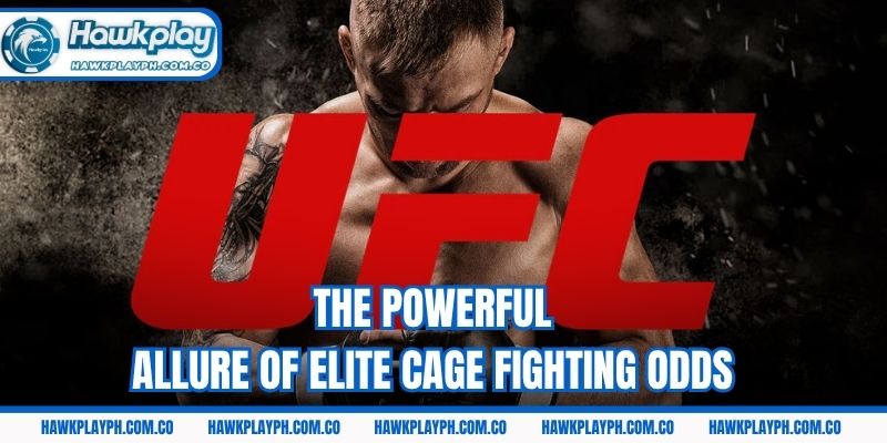 The powerful allure of elite cage fighting odds