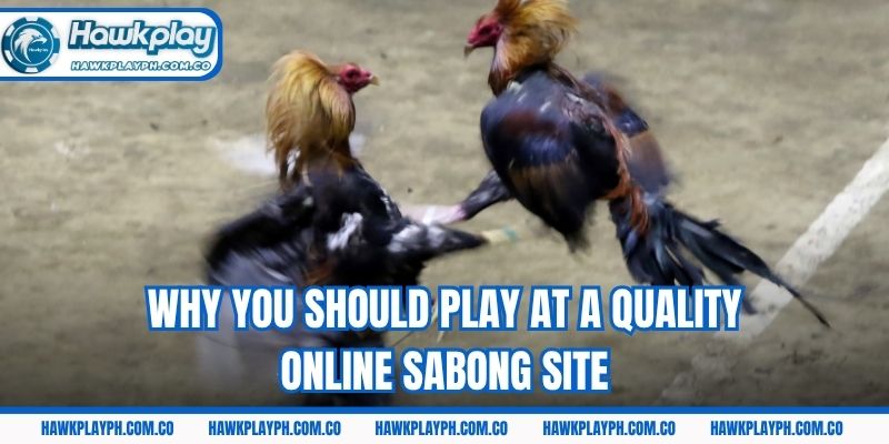 Why you should play at a quality online sabong site